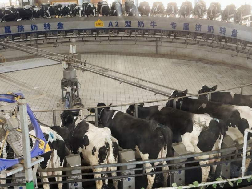 如何以用户思维打造产品?-传播蛙